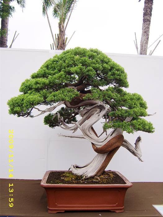 Hli_PRX_uDoaI8f29fmCIw.jpg