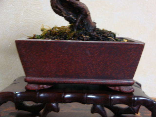 DSC08509.JPG