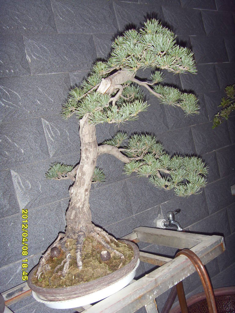 SDC12791.JPG