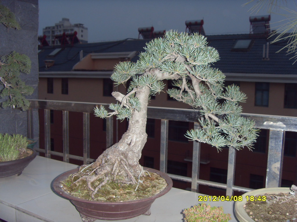 SDC12782.JPG