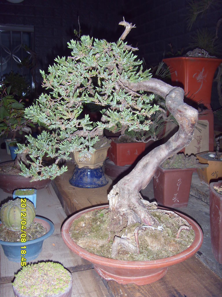 SDC12788.JPG