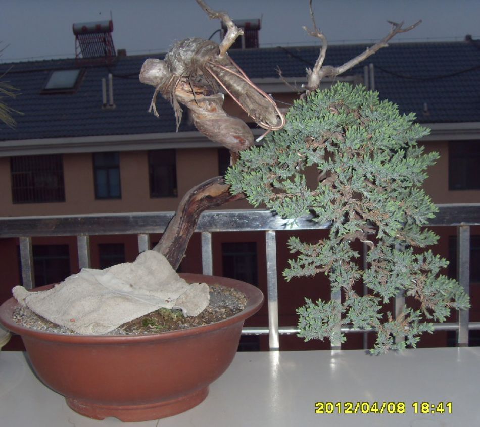 SDC12777.JPG