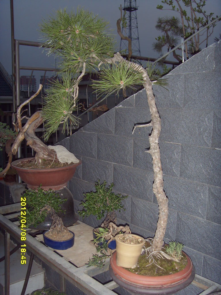 SDC12790.JPG