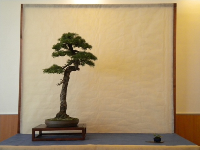 DSCN1073.jpg