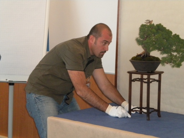 DSCN1096.jpg