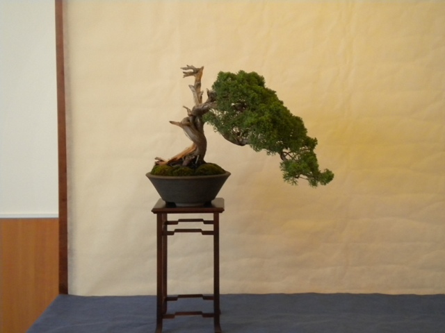 DSCN1105.jpg