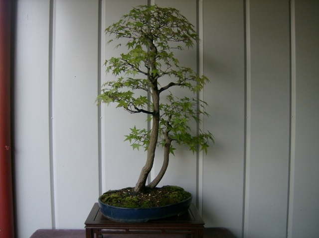 HPIM3358.jpg