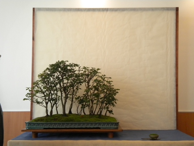 DSCN1058.jpg