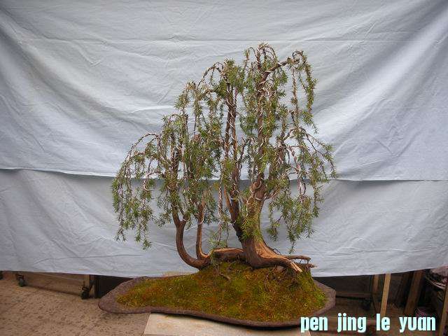 ������С DSCN5000.jpg