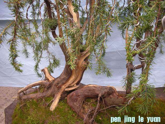 ������С DSCN5002.jpg