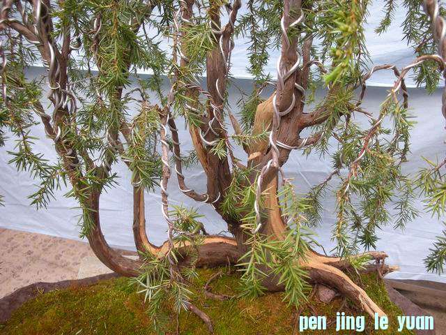 ������С DSCN5003.jpg