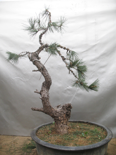 2012.04.10���������ĺ��� 031.jpg