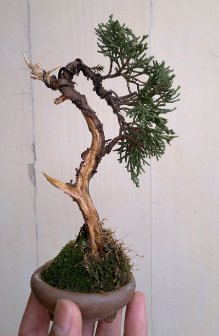 20120411750.jpg