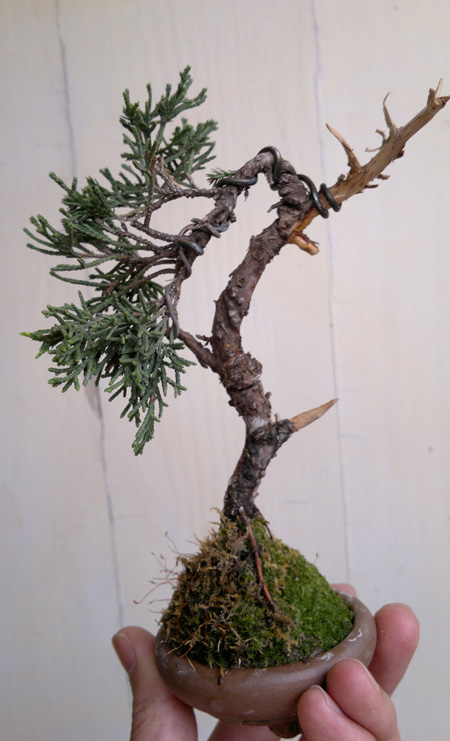 20120411751.jpg