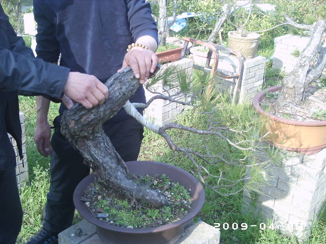 PHOT0017.JPG