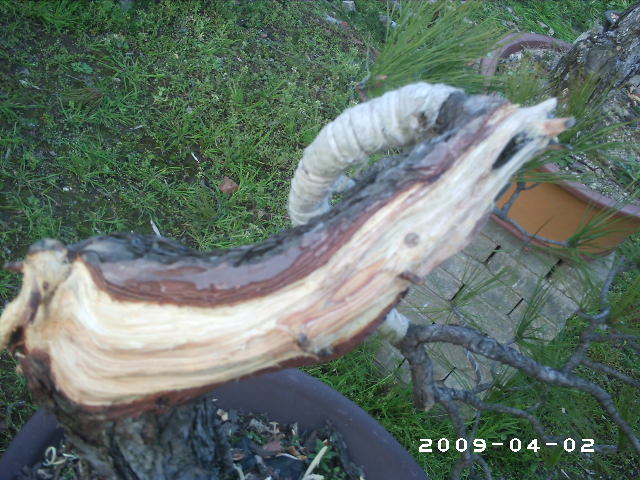PHOT0025.JPG