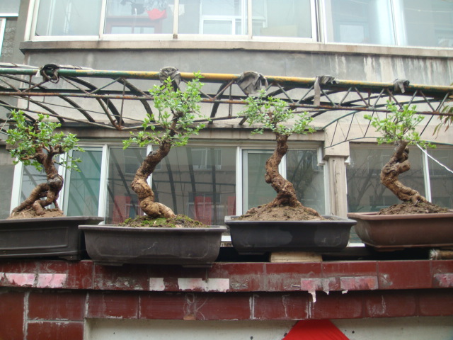 DSC02384.JPG
