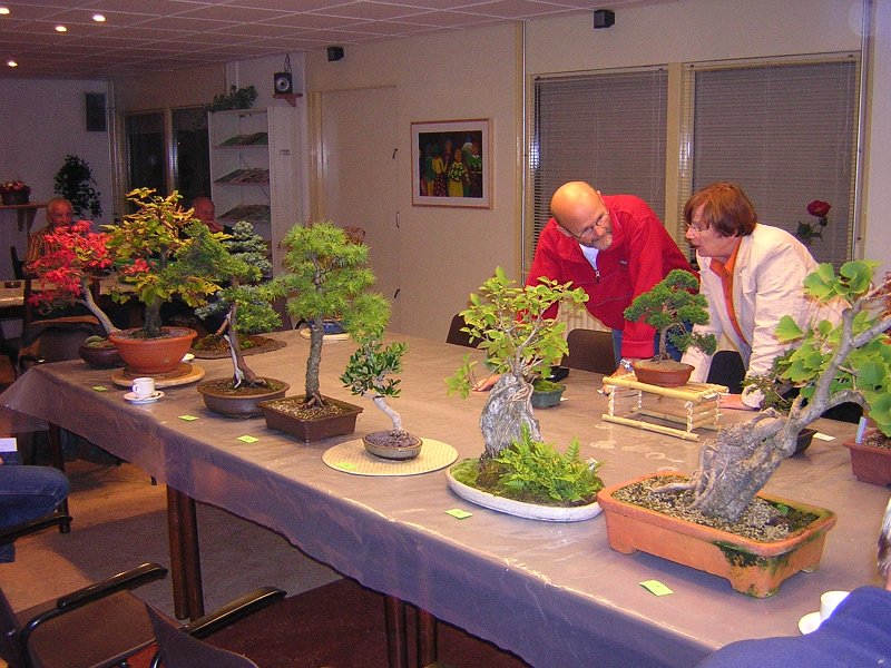 DSCN1224.jpg