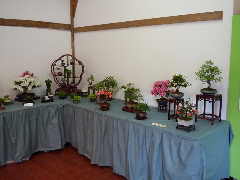P1000615.jpg