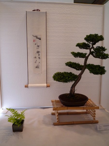 P1000619.jpg