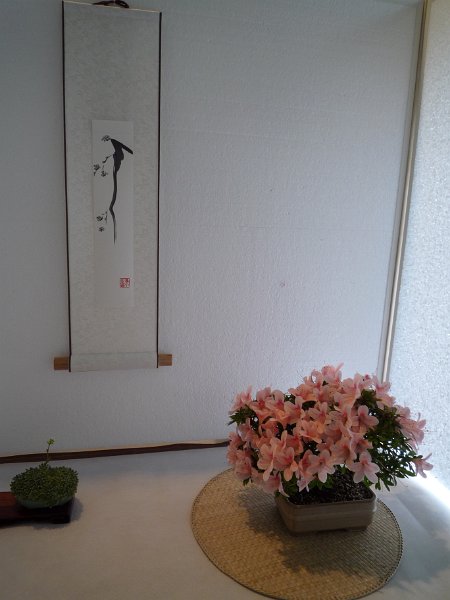 P1000621.jpg