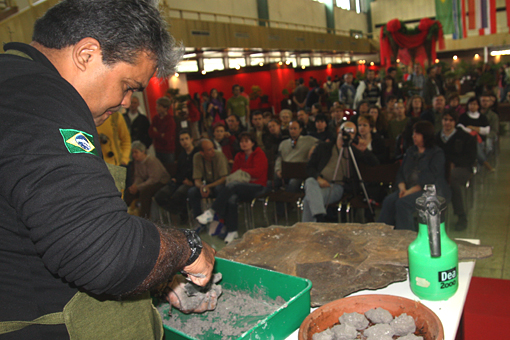 bonsai2010-bergson-02.jpg