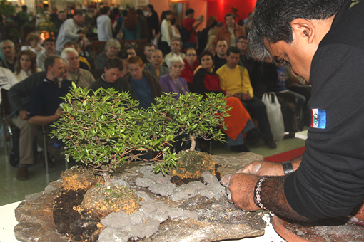 bonsai2010-bergson-07.jpg