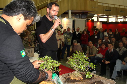 bonsai2010-bergson-09.jpg