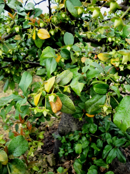 DSC08824.JPG
