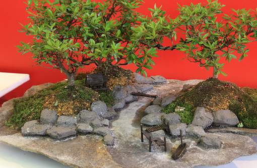 bonsai2010-bergson-10.jpg