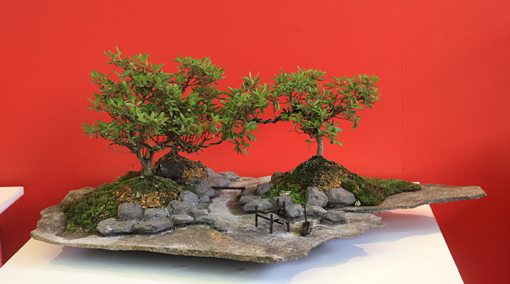 bonsai2010-bergson-11.jpg