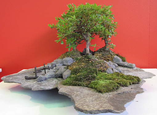 bonsai2010-bergson-13.jpg