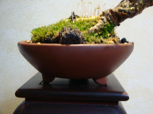 DSC08590.JPG