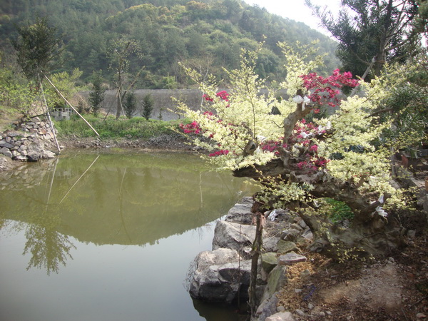 DSC01222.JPG