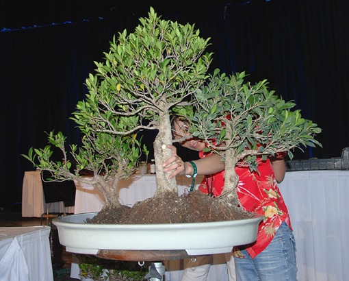 2010-chen-china-04.jpg