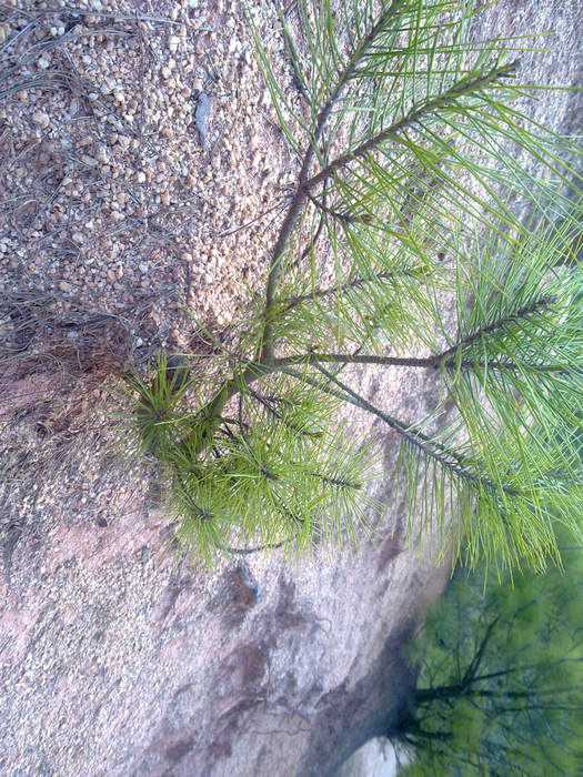 20120402637.JPG