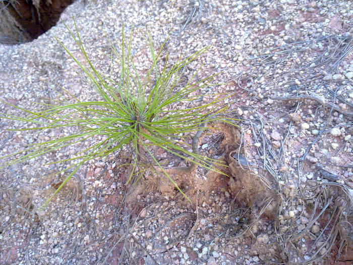 20120402639.JPG