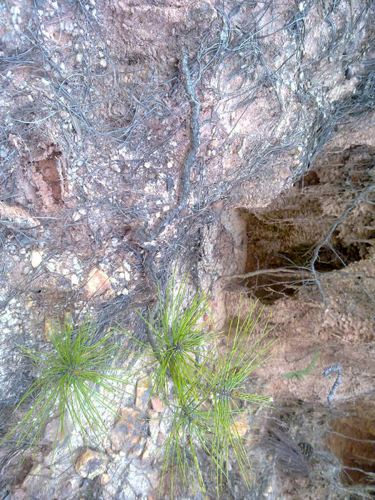 20120402640.JPG
