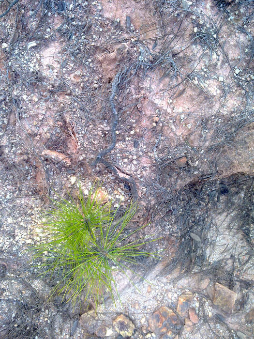 20120402641.JPG