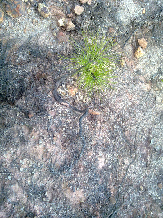 20120402642.JPG