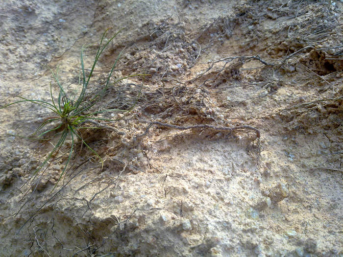20120402621.JPG