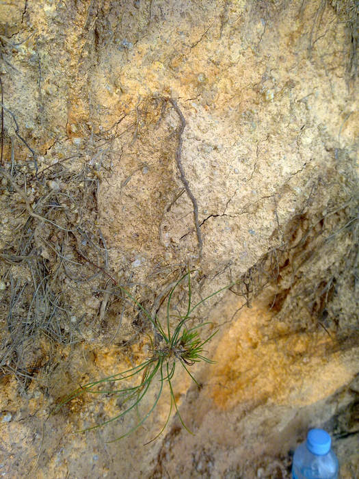 20120402623.JPG