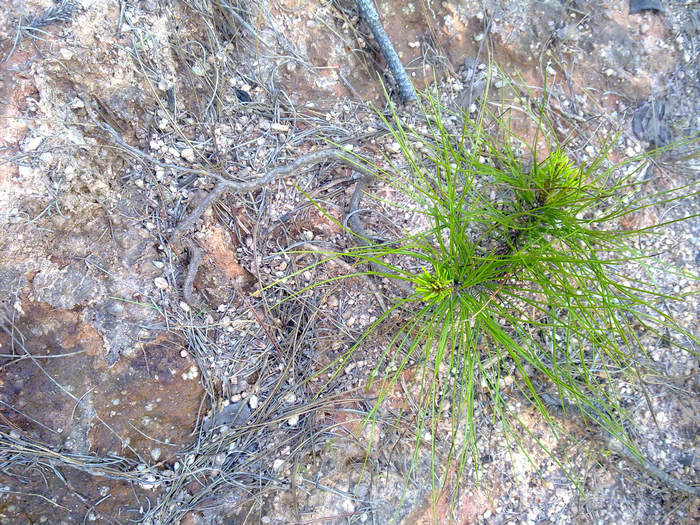 20120402627.JPG