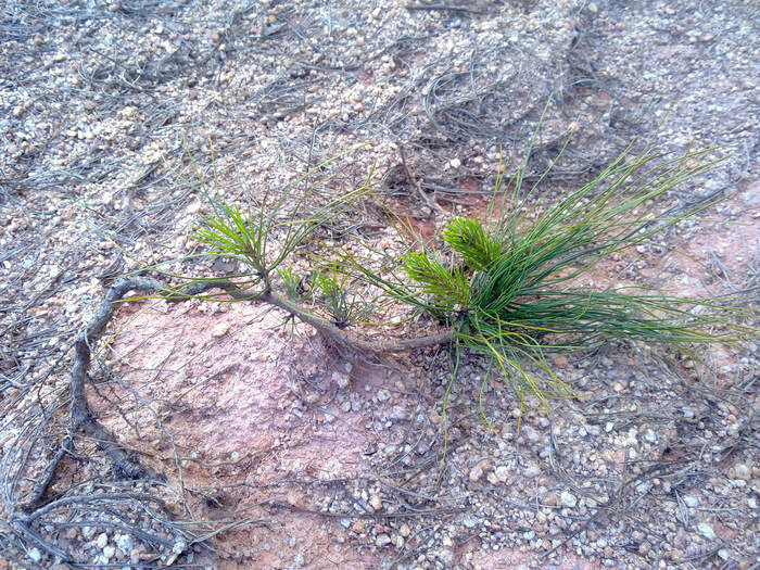 20120402636.JPG