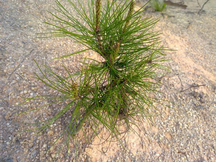 20120402605.JPG