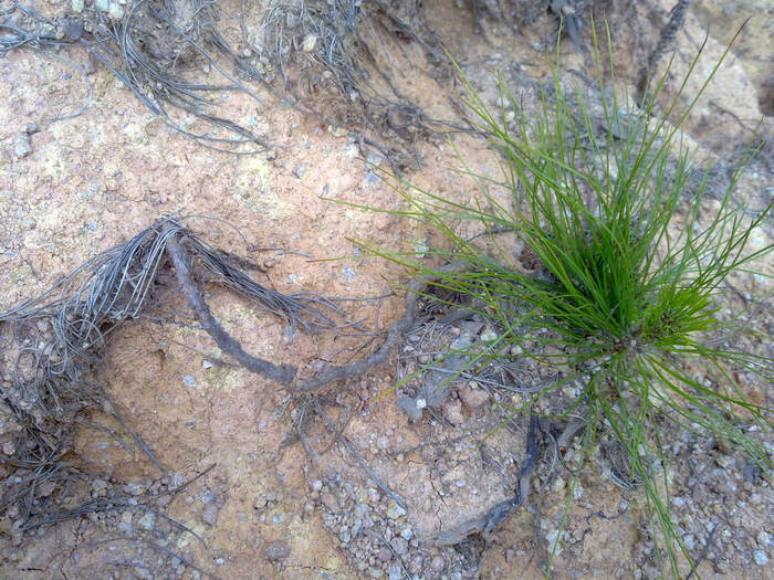 20120402606.JPG