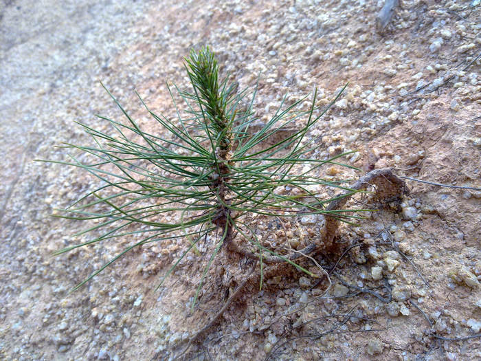 20120402608.JPG