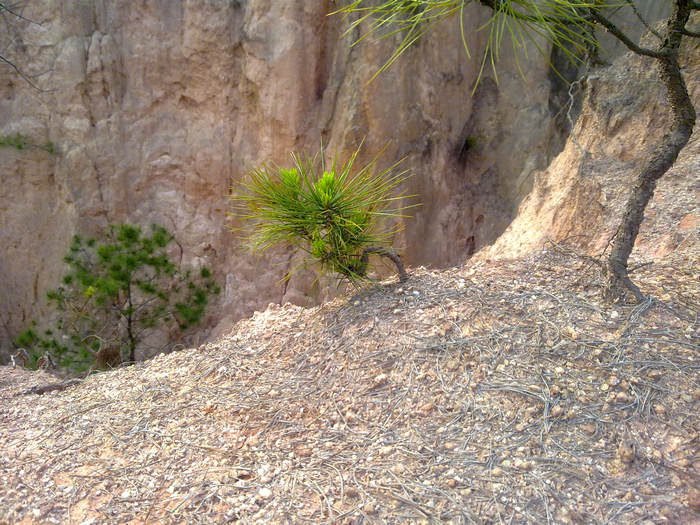 20120402612.JPG