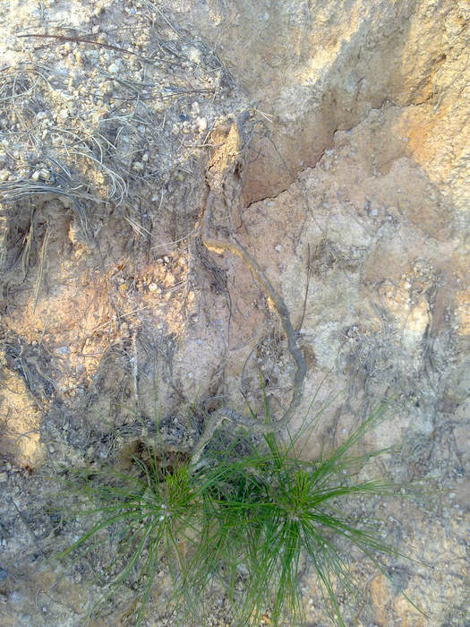 20120402619.JPG