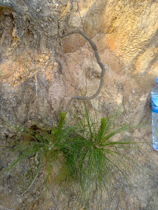 20120402620.JPG